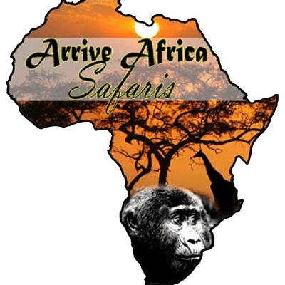 Arrive Africa Safaris