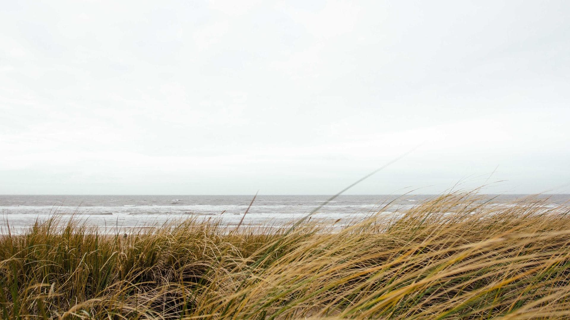 Hunting the Northern Lights: An Iceland Winter Guide