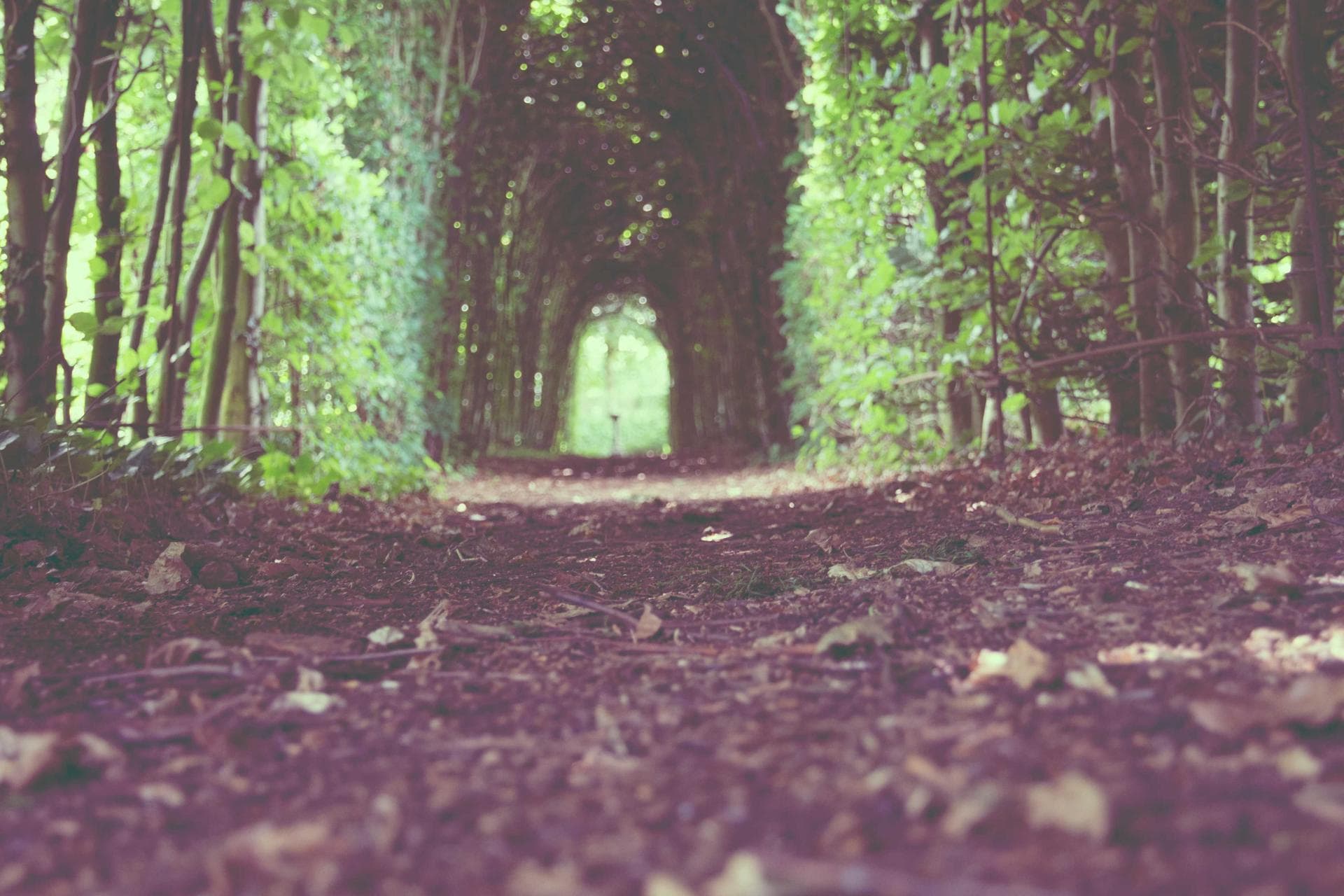 Traditional leather tannery in Marrakech with colorful dye vats
