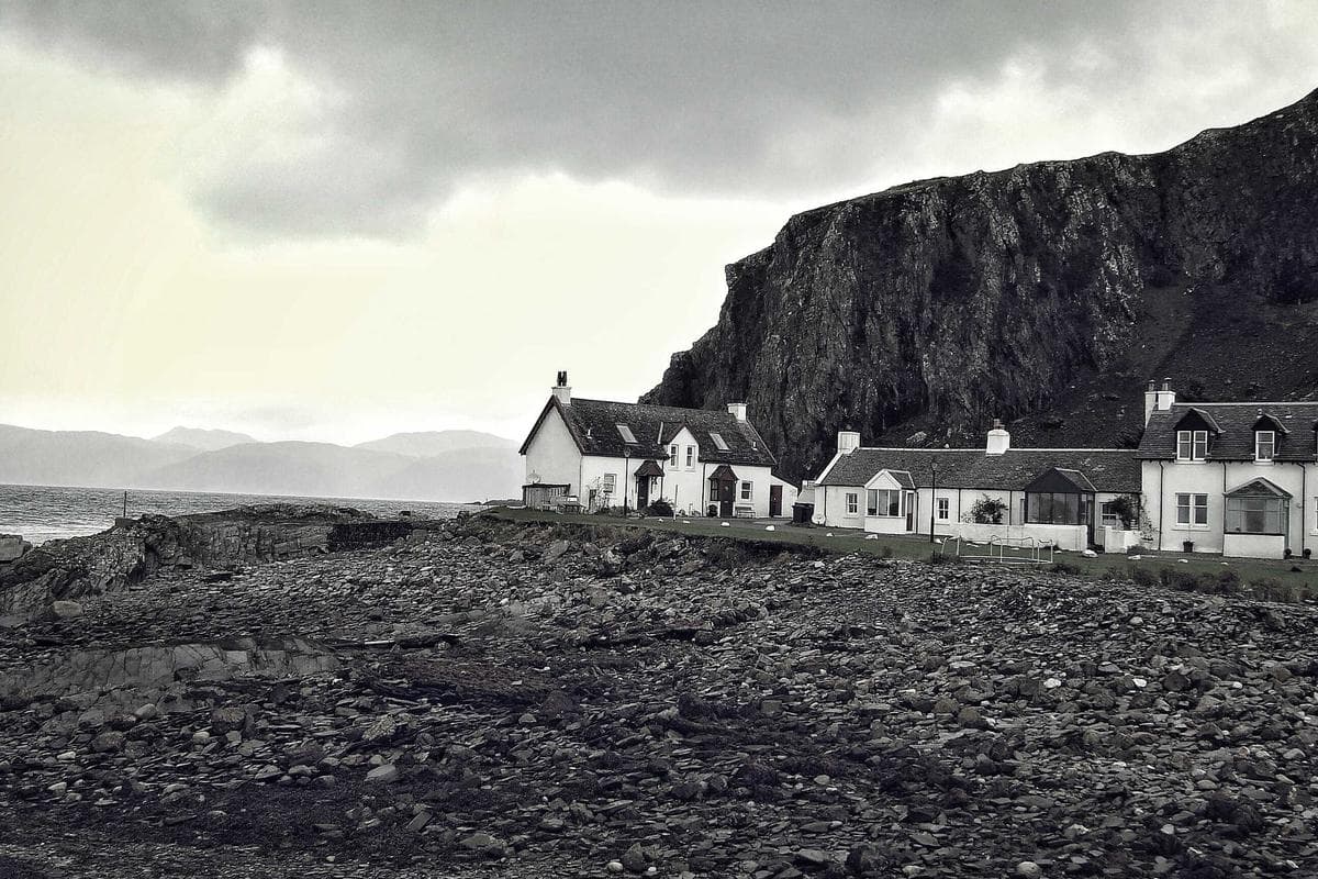 Snow Leopard photo 2