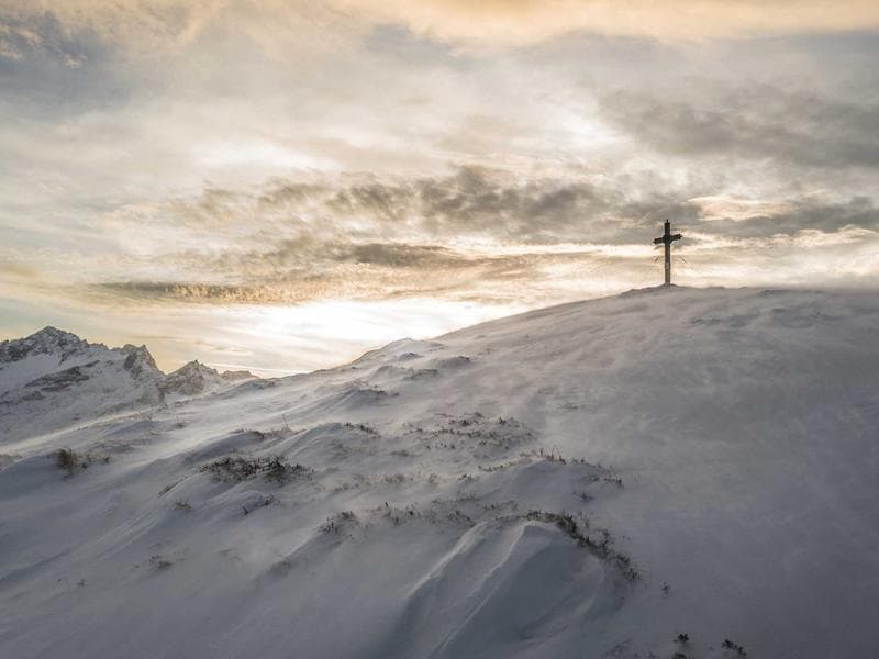 The Great Migration Safari