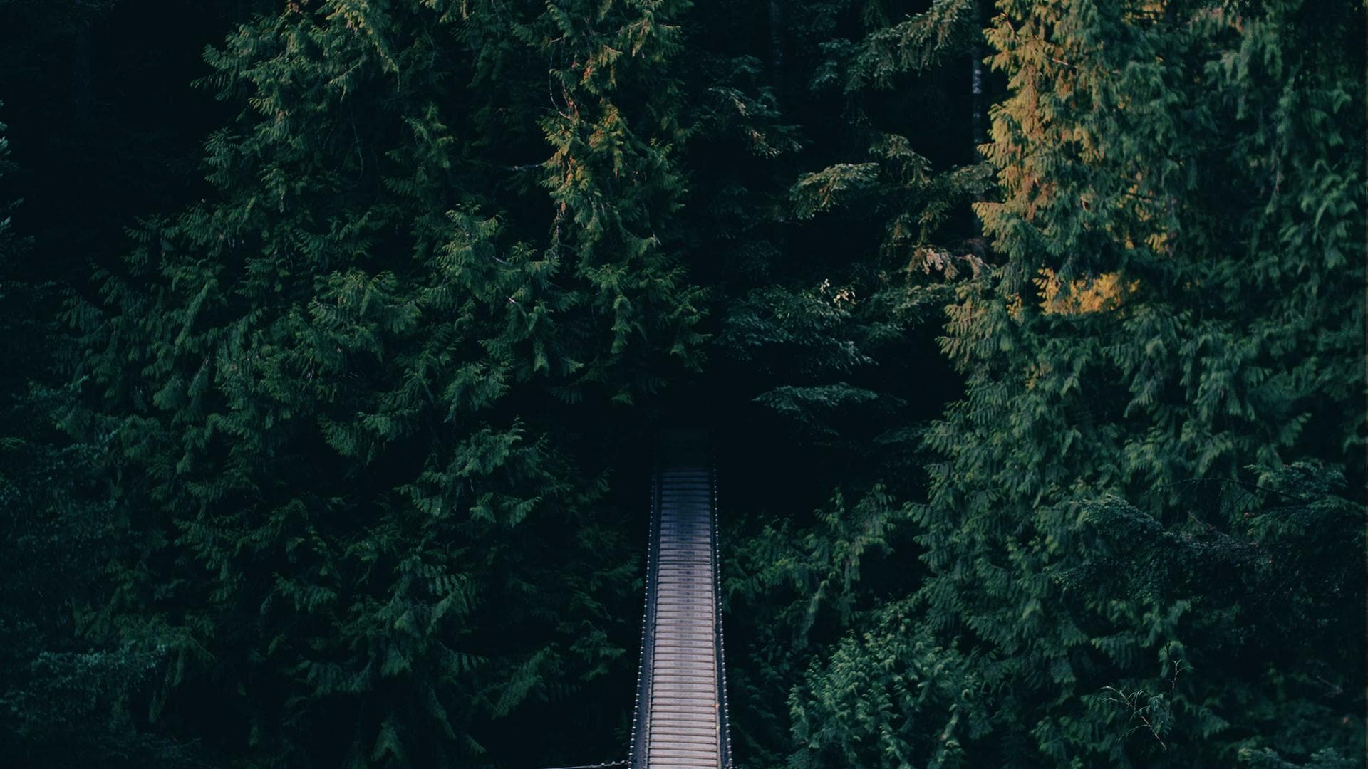 Cycling the Ring Road: Iceland