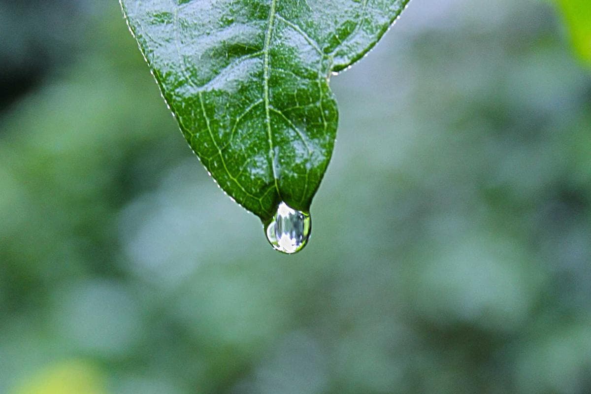 Sacred Valley gallery 3