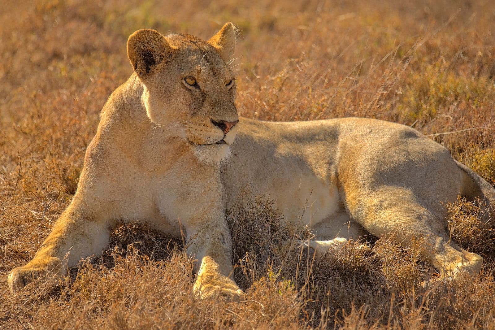 Queen Elizabeth National Park