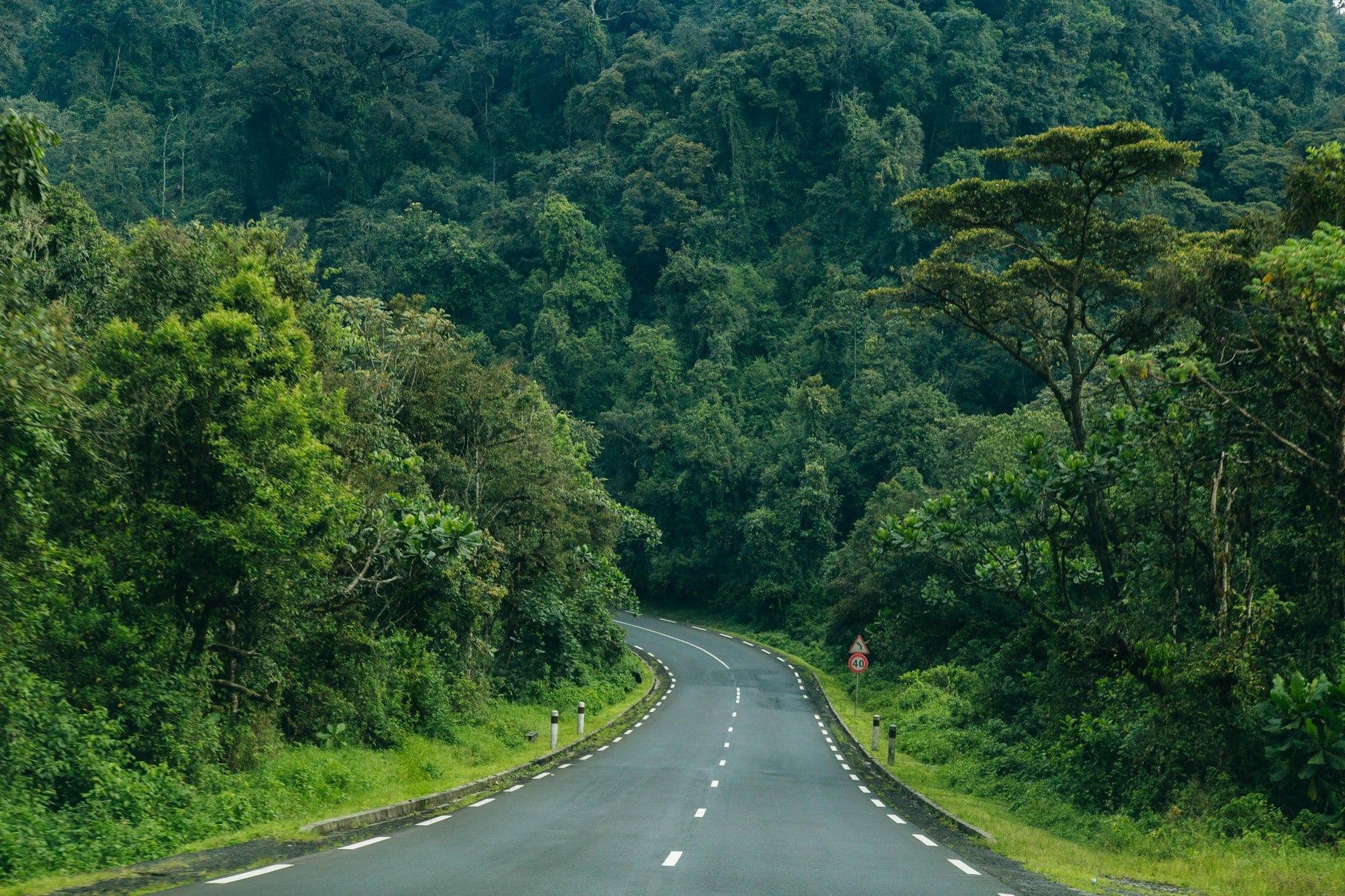 "The safari gave me back a kind of quiet I had forgotten existed. Arrive planned it, hour by hour, so I didn’t have to think about anything but being there."
