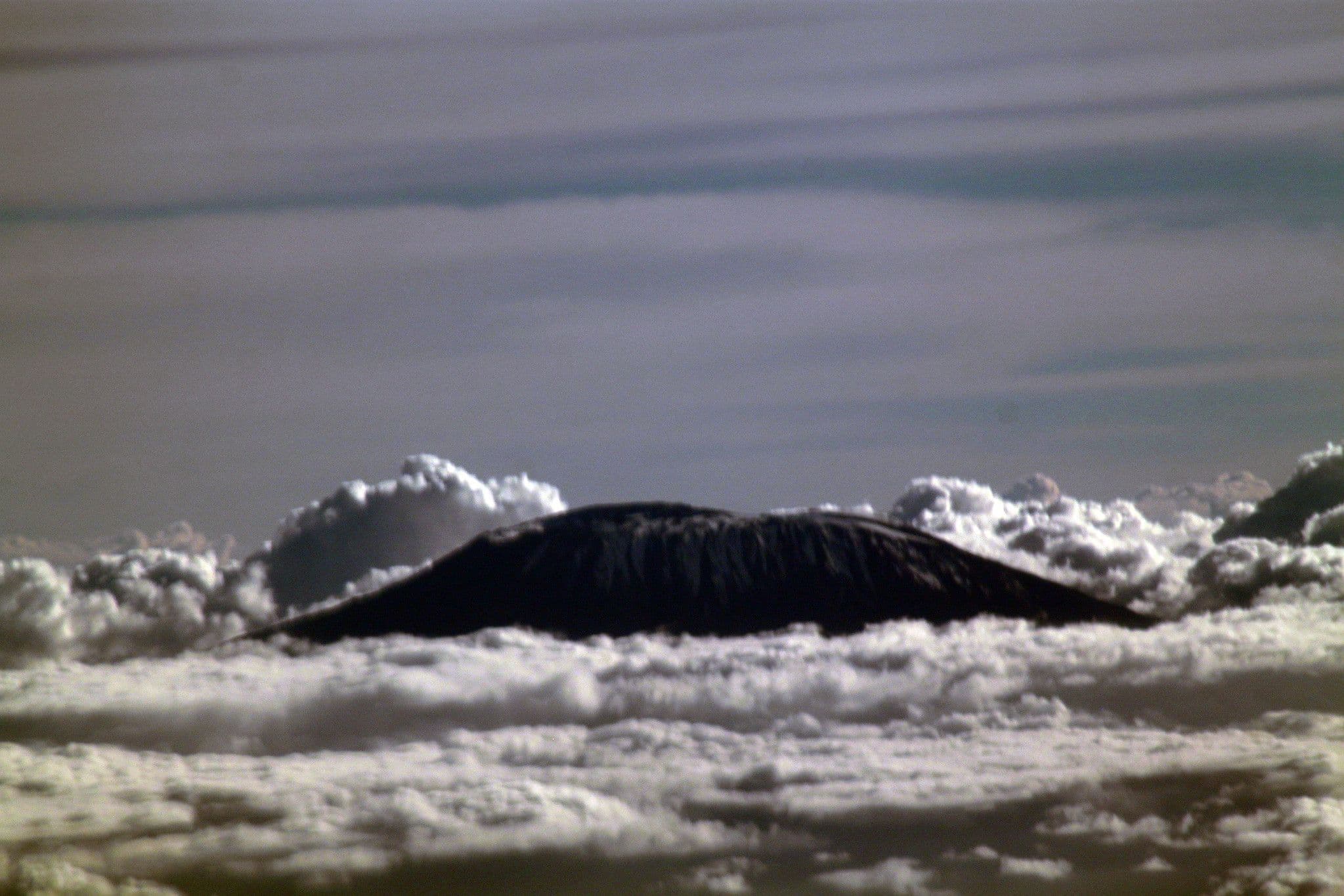 4 Days Through Kilimanjaro's Ancient Forest Gate